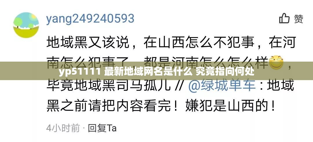 yp51111 最新地域网名是什么 究竟指向何处