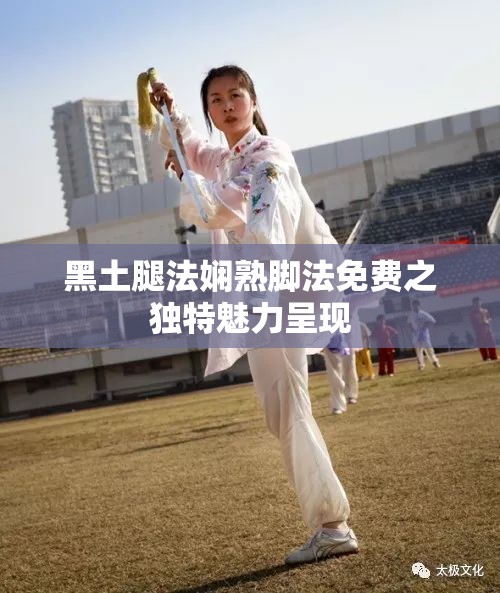 黑土腿法娴熟脚法免费之独特魅力呈现