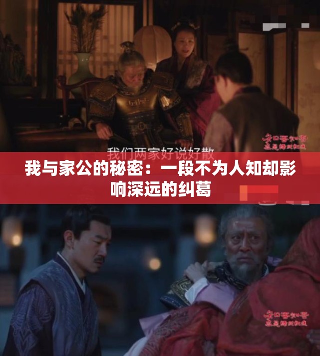 我与家公的秘密：一段不为人知却影响深远的纠葛