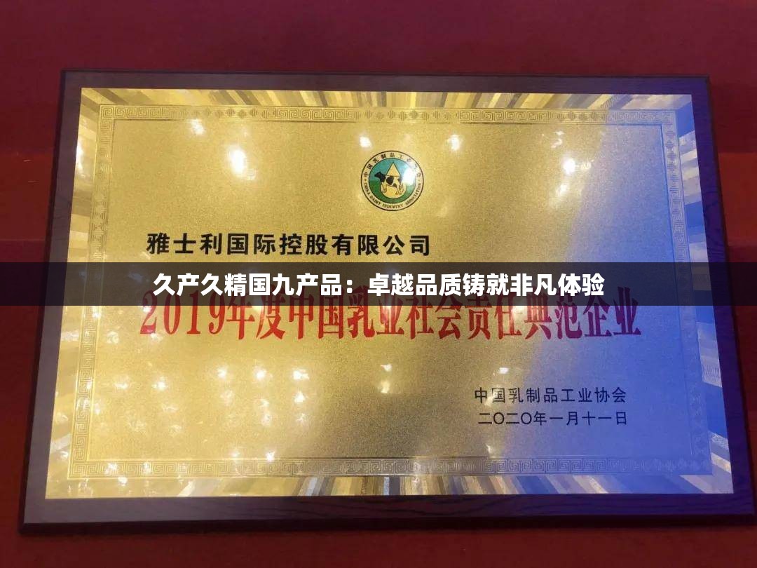 久产久精国九产品：卓越品质铸就非凡体验