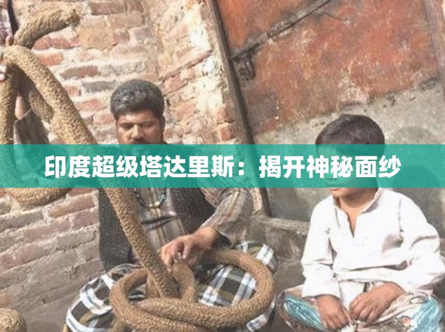 印度超级塔达里斯：揭开神秘面纱