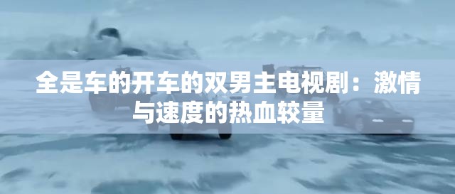 全是车的开车的双男主电视剧：激情与速度的热血较量