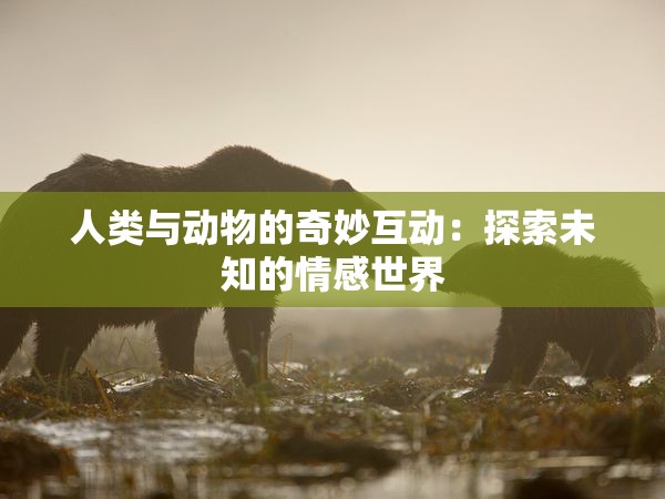 人类与动物的奇妙互动：探索未知的情感世界