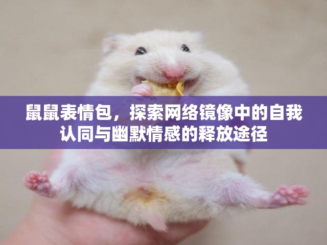 鼠鼠表情包，探索网络镜像中的自我认同与幽默情感的释放途径