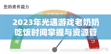 2023年光遇游戏老奶奶吃饭时间掌握与资源管理高效利用策略