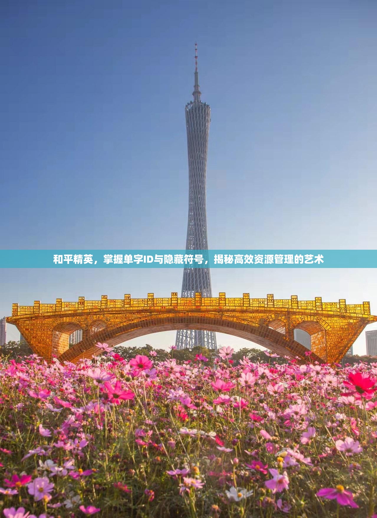 和平精英，掌握单字ID与隐藏符号，揭秘高效资源管理的艺术