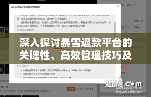 深入探讨暴雪退款平台的关键性、高效管理技巧及资源优化配置策略