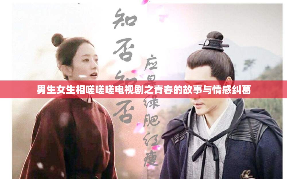 男生女生相嗟嗟嗟电视剧之青春的故事与情感纠葛