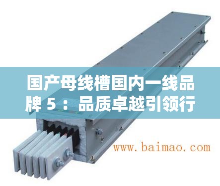 国产母线槽国内一线品牌 5 ：品质卓越引领行业发展潮流