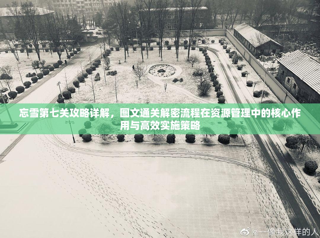 忘雪第七关攻略详解，图文通关解密流程在资源管理中的核心作用与高效实施策略