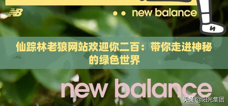 仙踪林老狼网站欢迎你二百：带你走进神秘的绿色世界