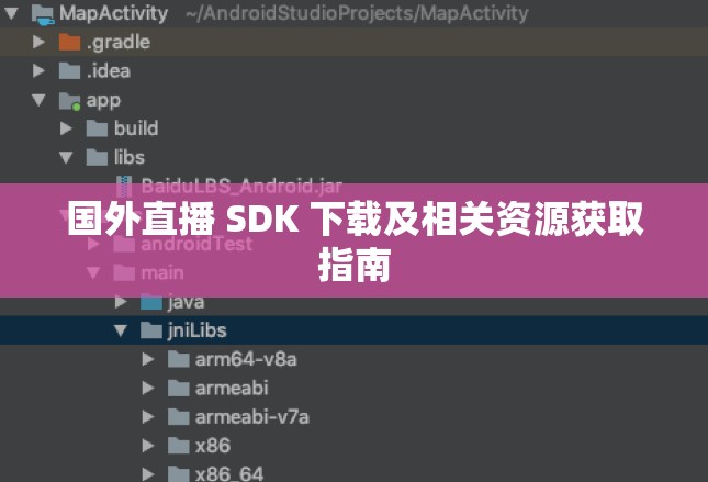 国外直播 SDK 下载及相关资源获取指南
