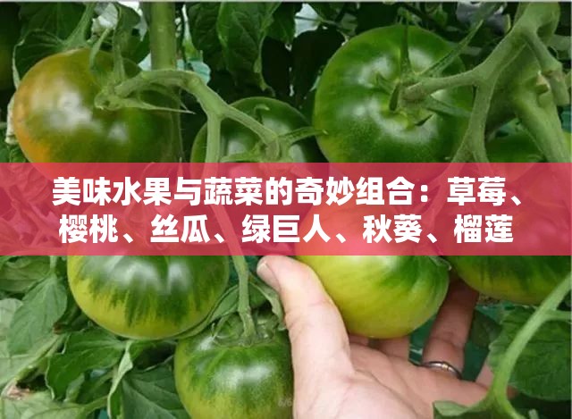 美味水果与蔬菜的奇妙组合：草莓、樱桃、丝瓜、绿巨人、秋葵、榴莲、黄瓜解锁版的丰富口感