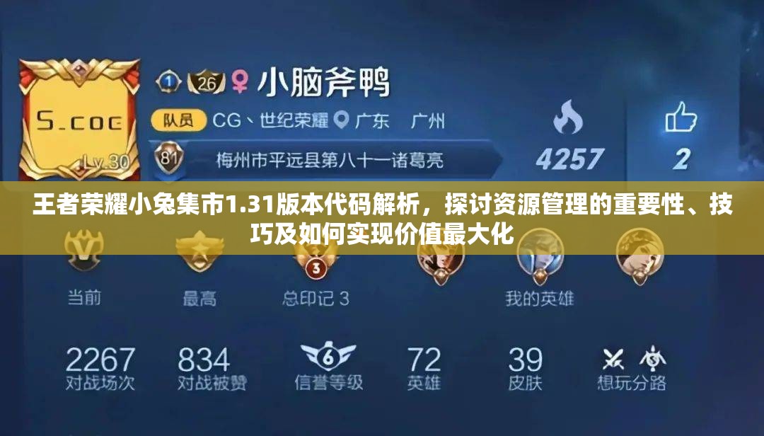 王者荣耀小兔集市1.31版本代码解析，探讨资源管理的重要性、技巧及如何实现价值最大化
