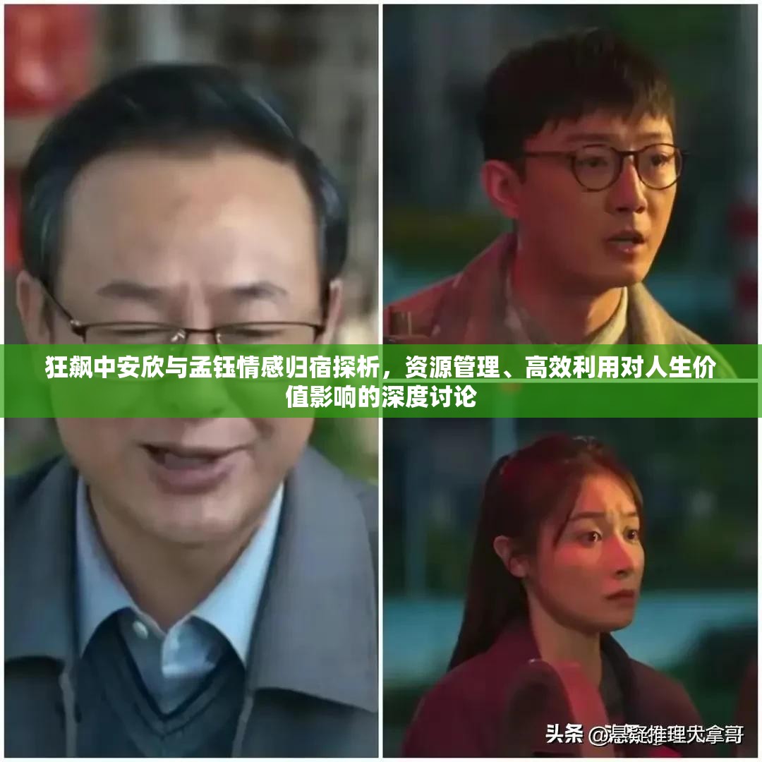 狂飙中安欣与孟钰情感归宿探析，资源管理、高效利用对人生价值影响的深度讨论