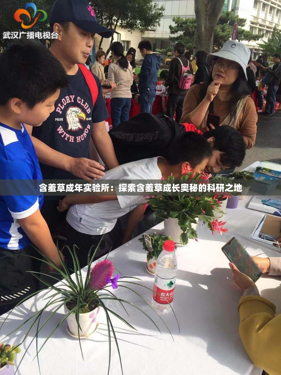 含羞草成年实验所：探索含羞草成长奥秘的科研之地