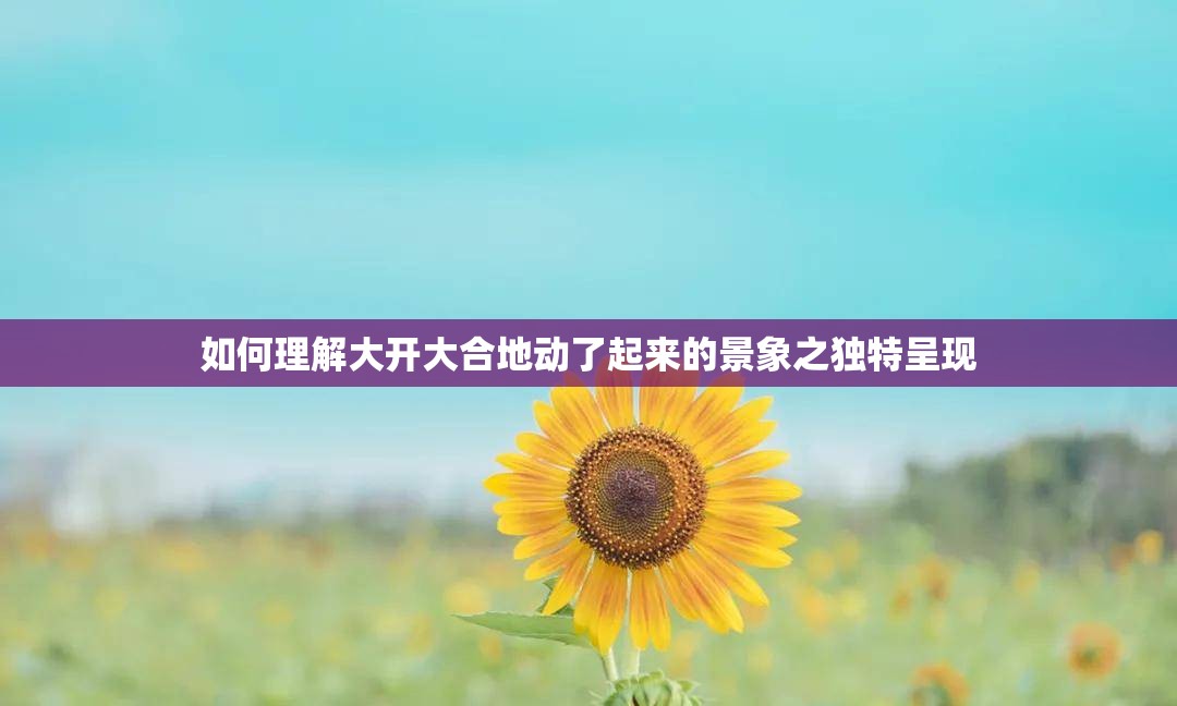 如何理解大开大合地动了起来的景象之独特呈现