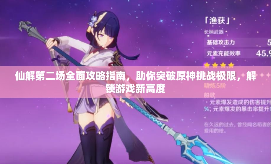 仙解第二场全面攻略指南，助你突破原神挑战极限，解锁游戏新高度