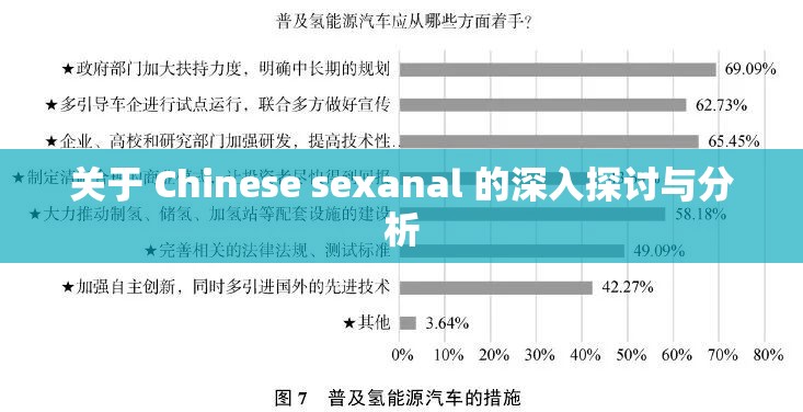 关于 Chinese sexanal 的深入探讨与分析