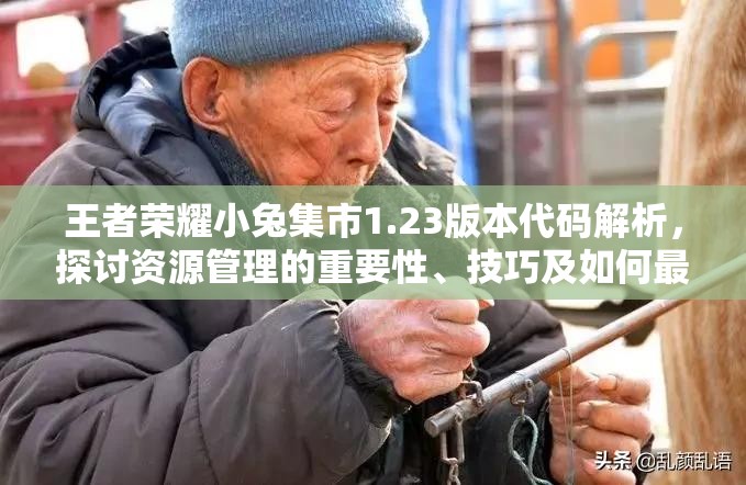王者荣耀小兔集市1.23版本代码解析，探讨资源管理的重要性、技巧及如何最大化其价值