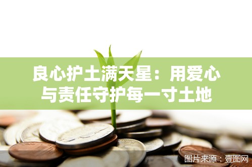良心护土满天星：用爱心与责任守护每一寸土地