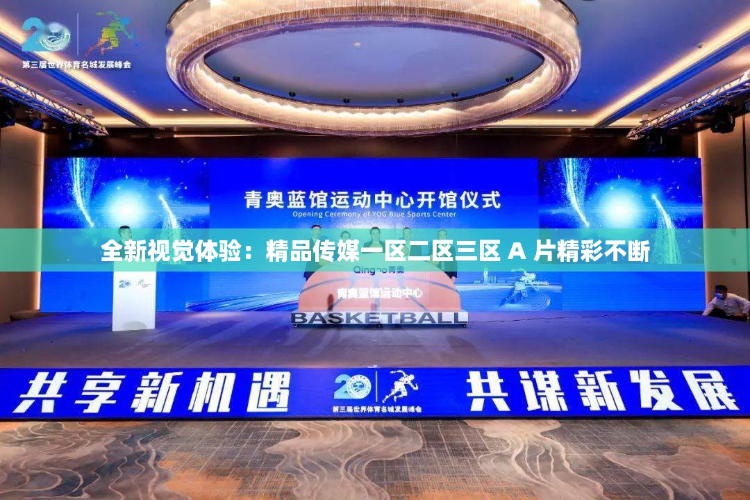 全新视觉体验：精品传媒一区二区三区 A 片精彩不断