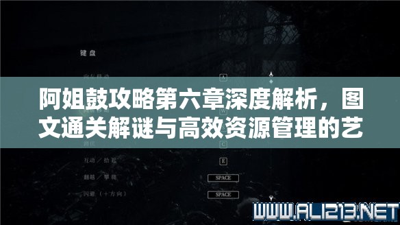 阿姐鼓攻略第六章深度解析，图文通关解谜与高效资源管理的艺术