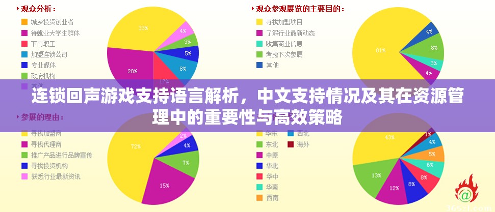 连锁回声游戏支持语言解析，中文支持情况及其在资源管理中的重要性与高效策略