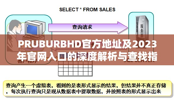PRUBURBHD官方地址及2023年官网入口的深度解析与查找指南
