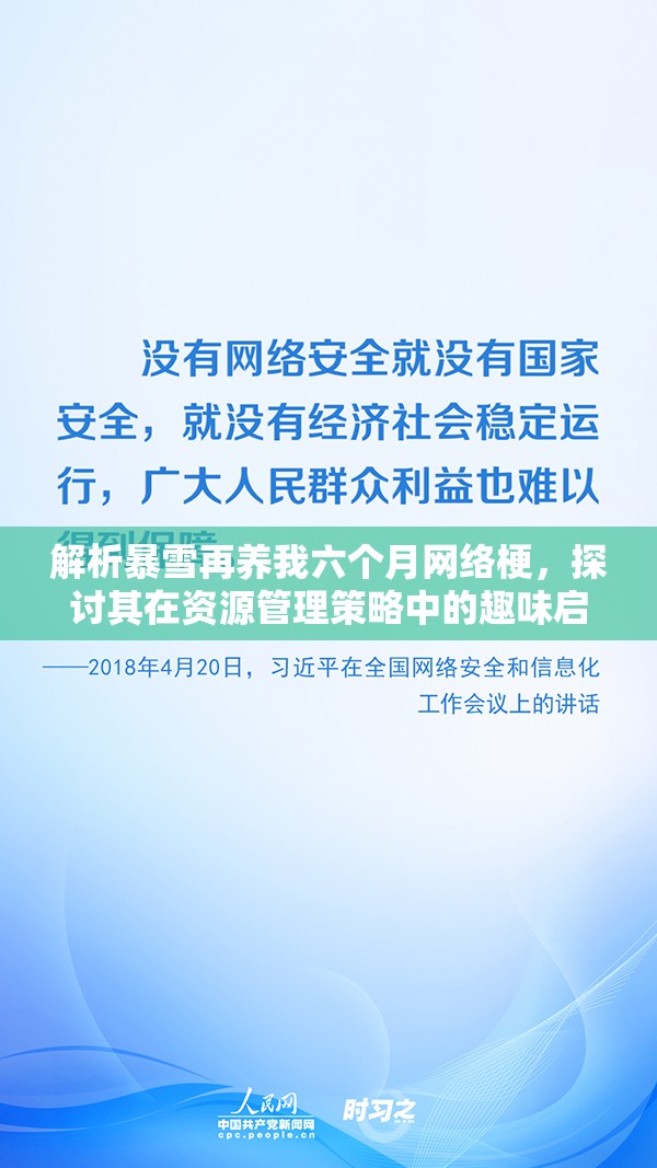 解析暴雪再养我六个月网络梗，探讨其在资源管理策略中的趣味启示与重要性
