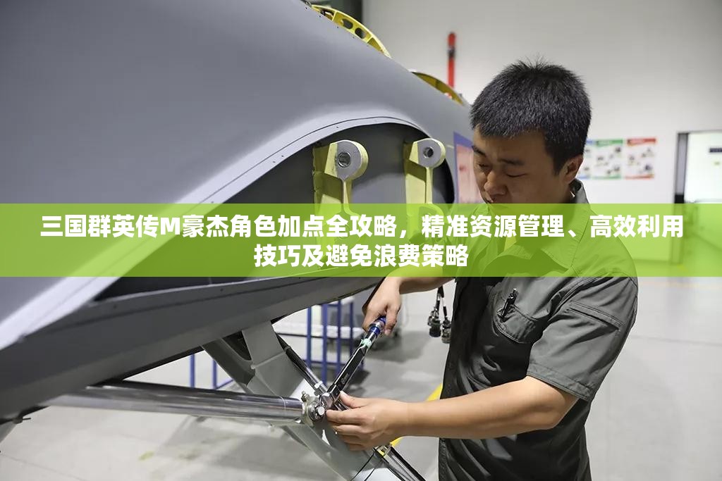 三国群英传M豪杰角色加点全攻略，精准资源管理、高效利用技巧及避免浪费策略