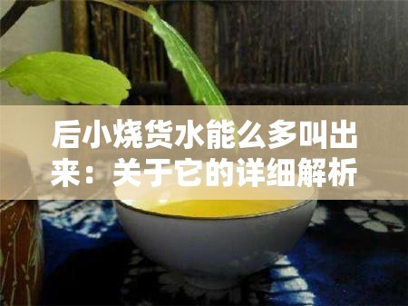 后小烧货水能么多叫出来：关于它的详细解析与探讨