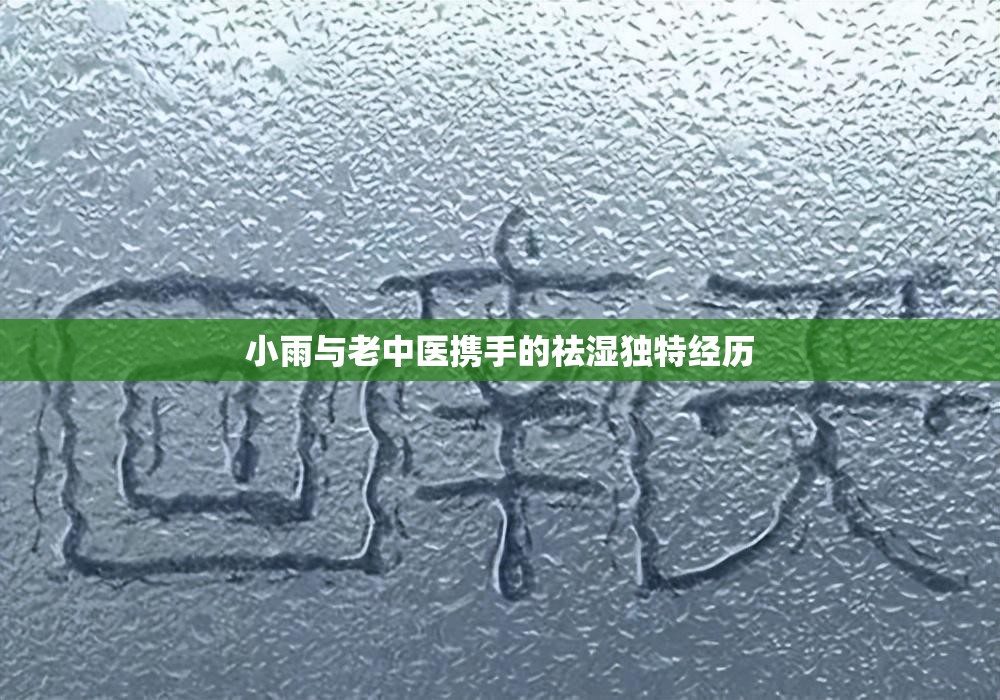 小雨与老中医携手的祛湿独特经历