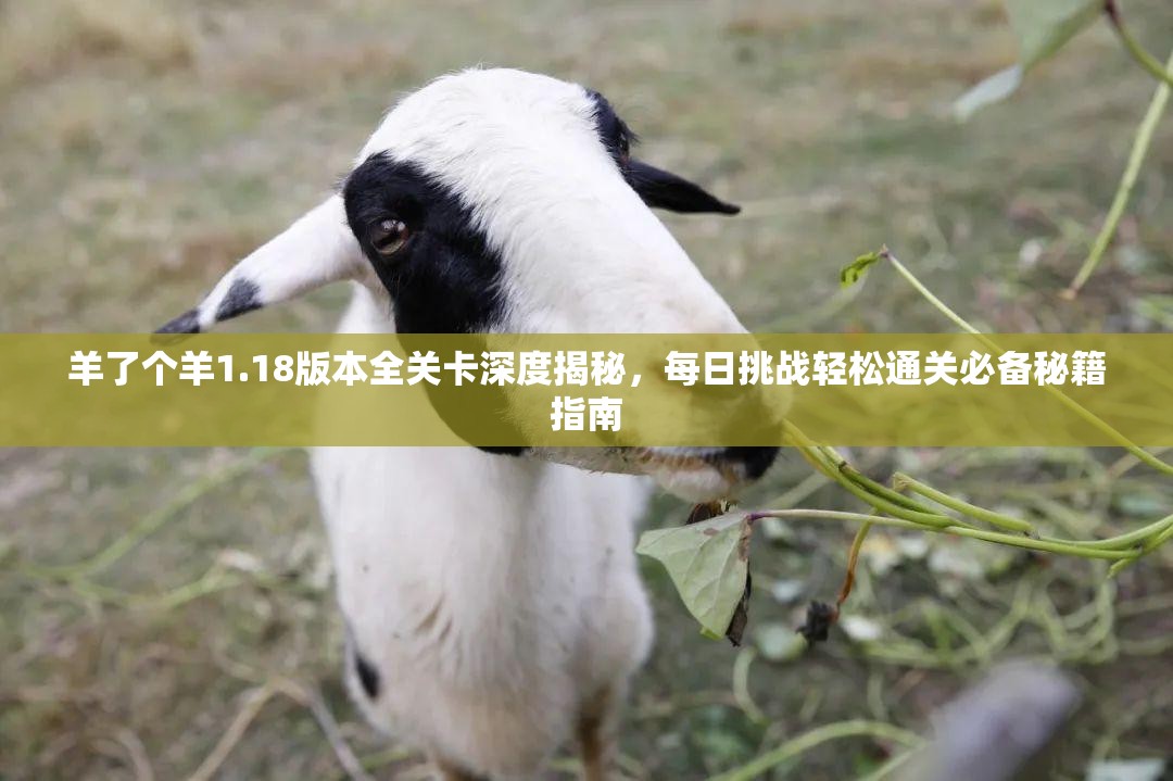 羊了个羊1.18版本全关卡深度揭秘，每日挑战轻松通关必备秘籍指南
