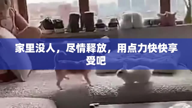 家里没人，尽情释放，用点力快快享受吧