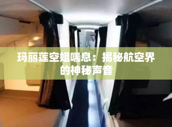 玛丽莲空姐喘息：揭秘航空界的神秘声音