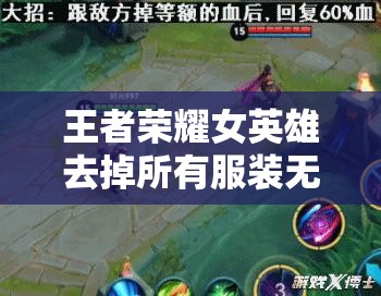 王者荣耀女英雄去掉所有服装无水印之震撼视觉呈现