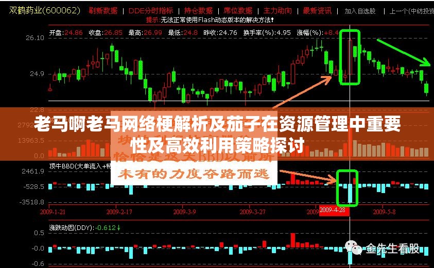 老马啊老马网络梗解析及茄子在资源管理中重要性及高效利用策略探讨