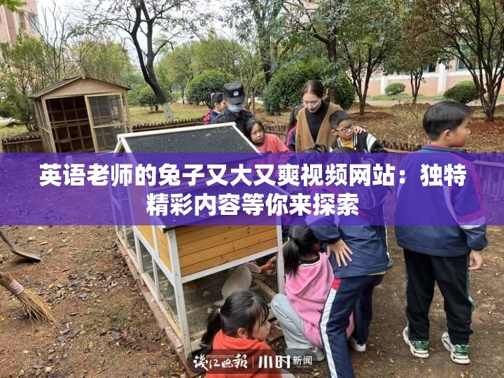 英语老师的兔子又大又爽视频网站：独特精彩内容等你来探索