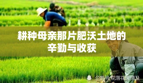 耕种母亲那片肥沃土地的辛勤与收获