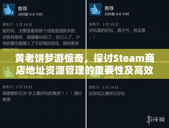 黄老饼梦游惊奇，探讨Steam商店地址资源管理的重要性及高效策略