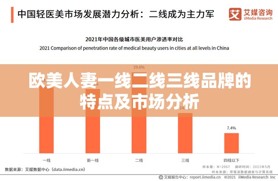 欧美人妻一线二线三线品牌的特点及市场分析