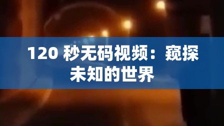 120 秒无码视频：窥探未知的世界