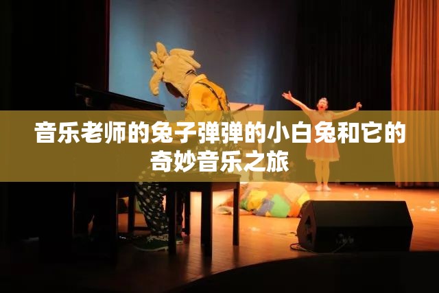 音乐老师的兔子弹弹的小白兔和它的奇妙音乐之旅