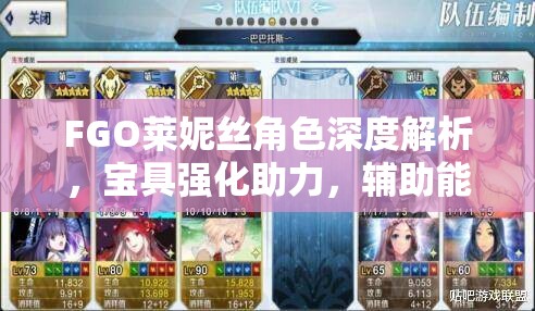 FGO莱妮丝角色深度解析，宝具强化助力，辅助能力跃升至全新高度
