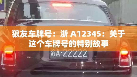 狼友车牌号：浙 A12345：关于这个车牌号的特别故事