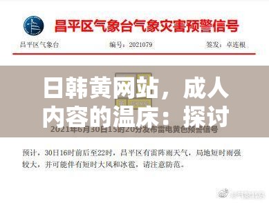 日韩黄网站，成人内容的温床：探讨其对社会的负面影响