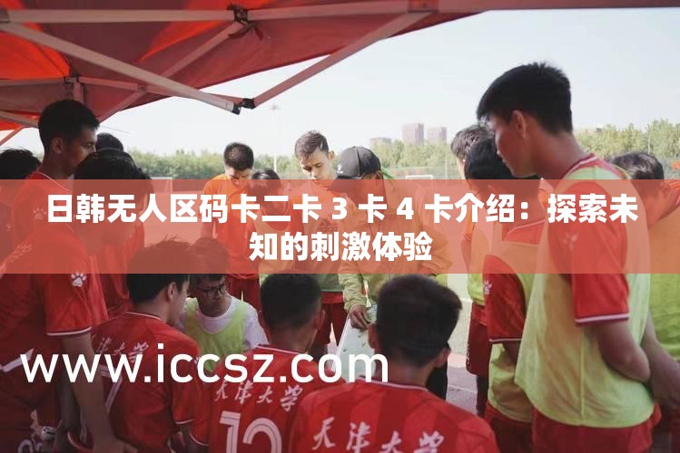 日韩无人区码卡二卡 3 卡 4 卡介绍：探索未知的刺激体验