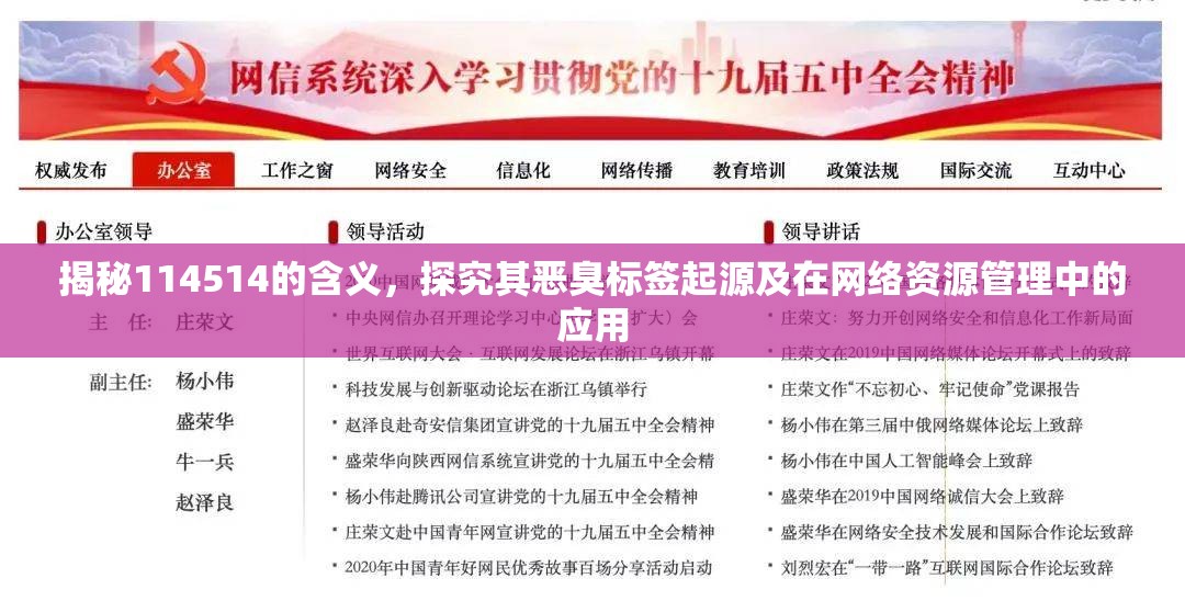 揭秘114514的含义，探究其恶臭标签起源及在网络资源管理中的应用