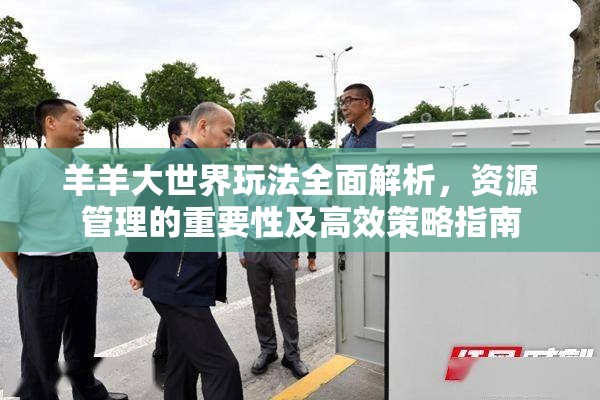 羊羊大世界玩法全面解析，资源管理的重要性及高效策略指南